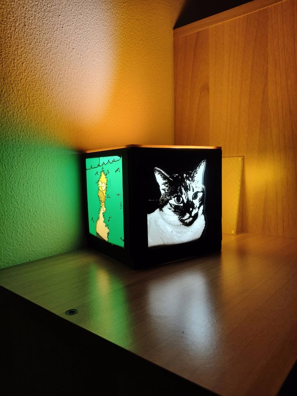 Davide Acquafredda's work